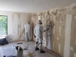 Environmental Consulting for Mold Prevention in Price, UT